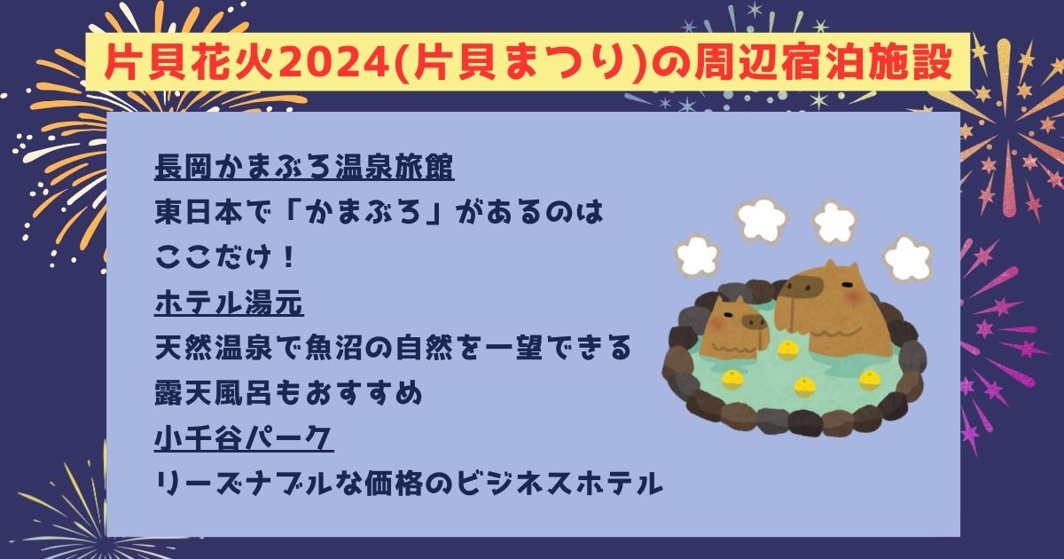 片貝花火2024の打ち上げ場所はどこ？日程や予約方法も徹底解説の画像