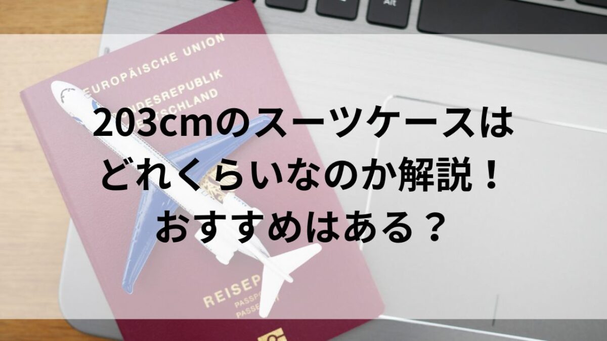 スーツケース 203cm どれくらい コレクション