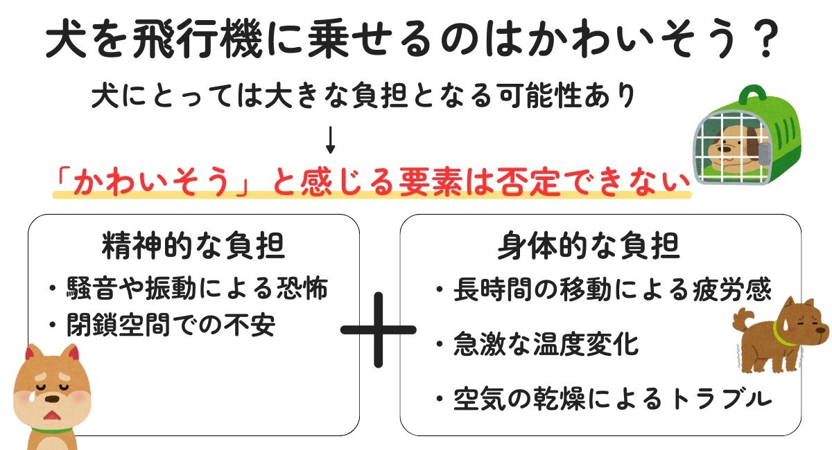 犬を飛行機に乗せるのはかわいそう？