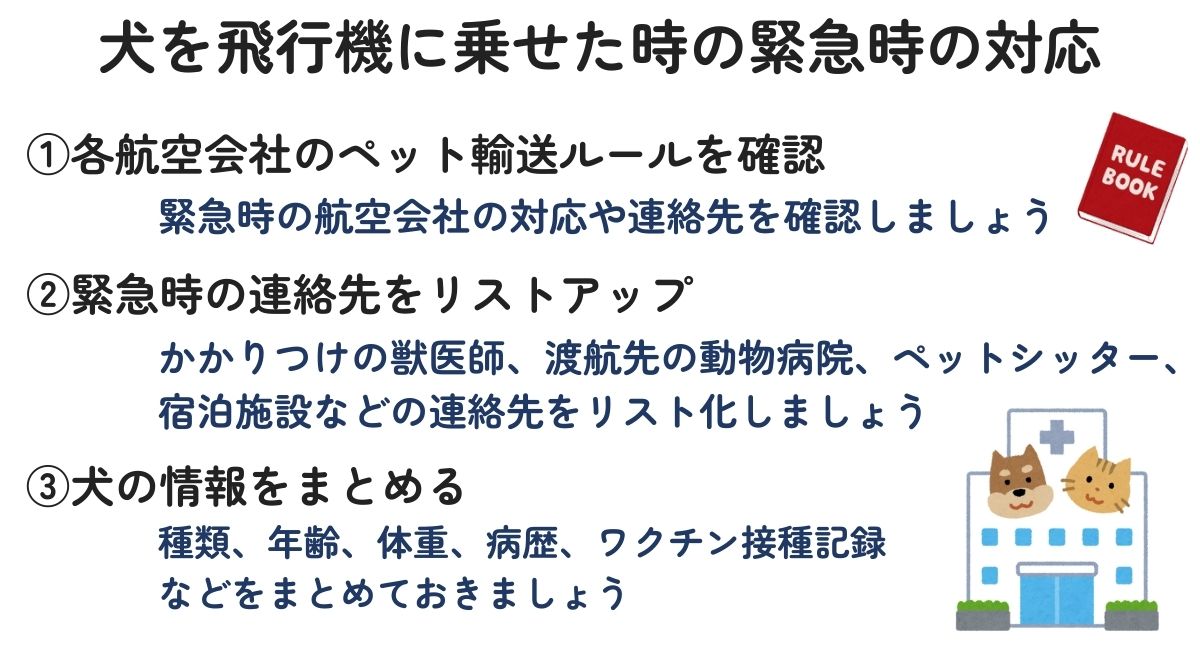 犬を飛行機に乗せた時の緊急時の対応