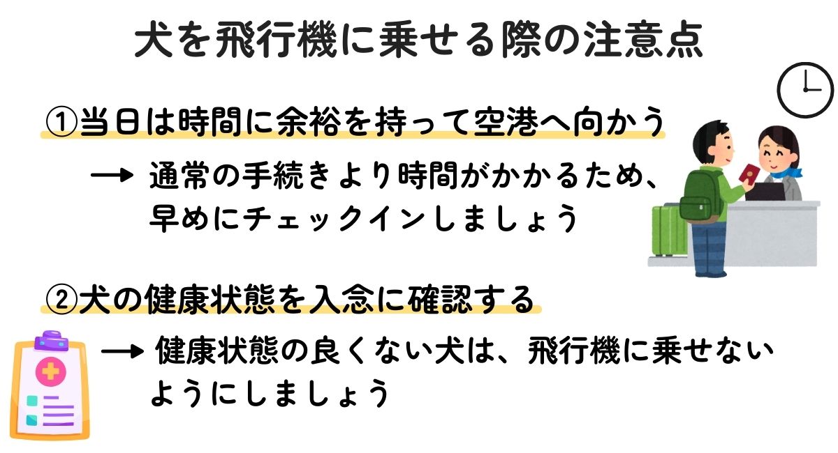 犬を飛行機に乗せる際の注意点