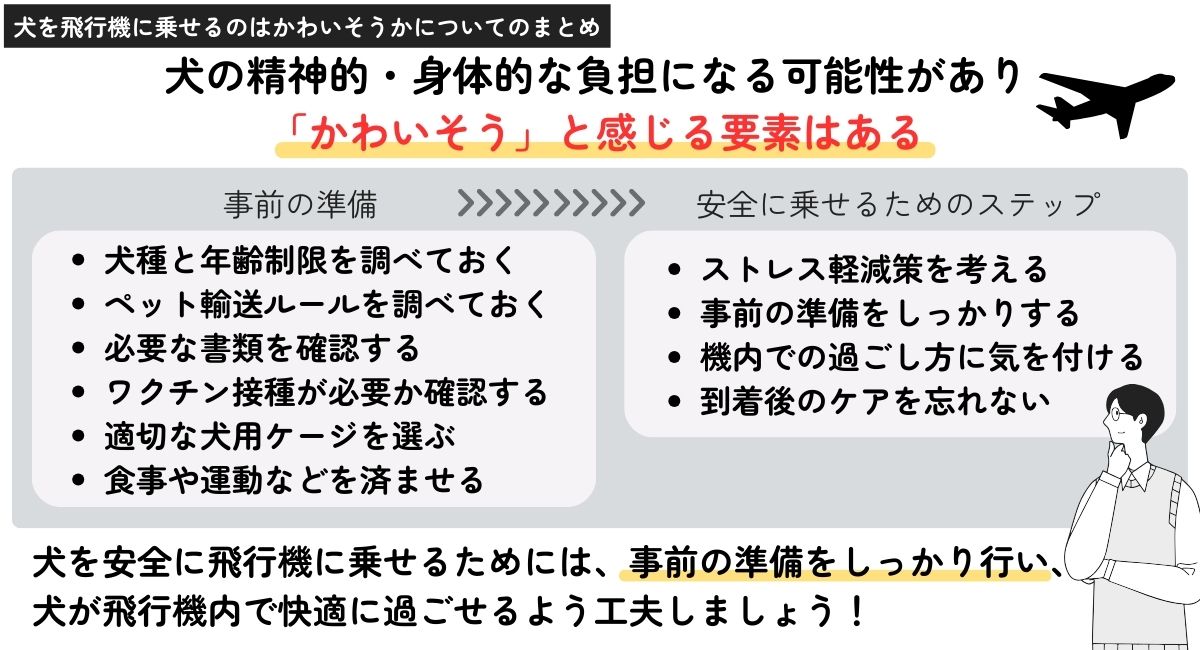 犬を飛行機に乗せるのはかわいそうかについてのまとめ