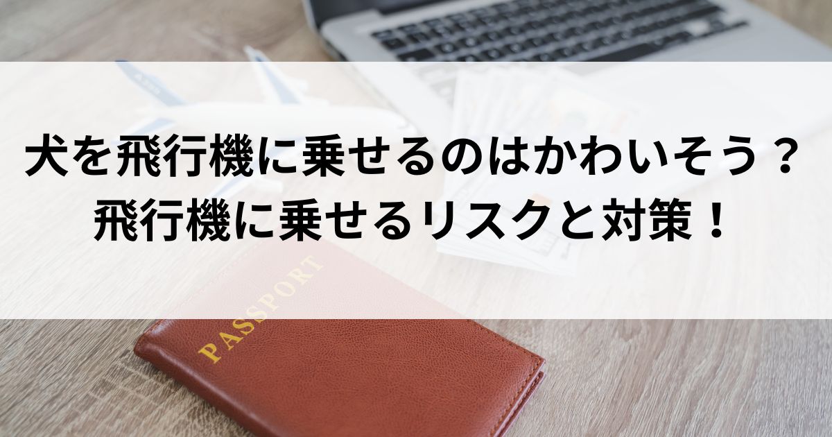 犬を飛行機に乗せるのはかわいそう？飛行機に乗せるリスクと対策の画像